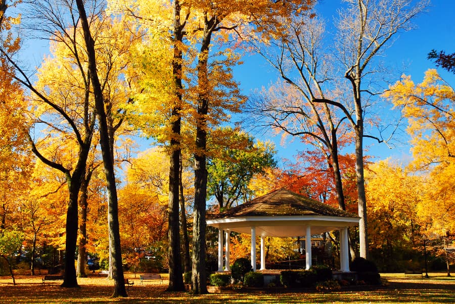 Gazebo in fall with trees and bushes